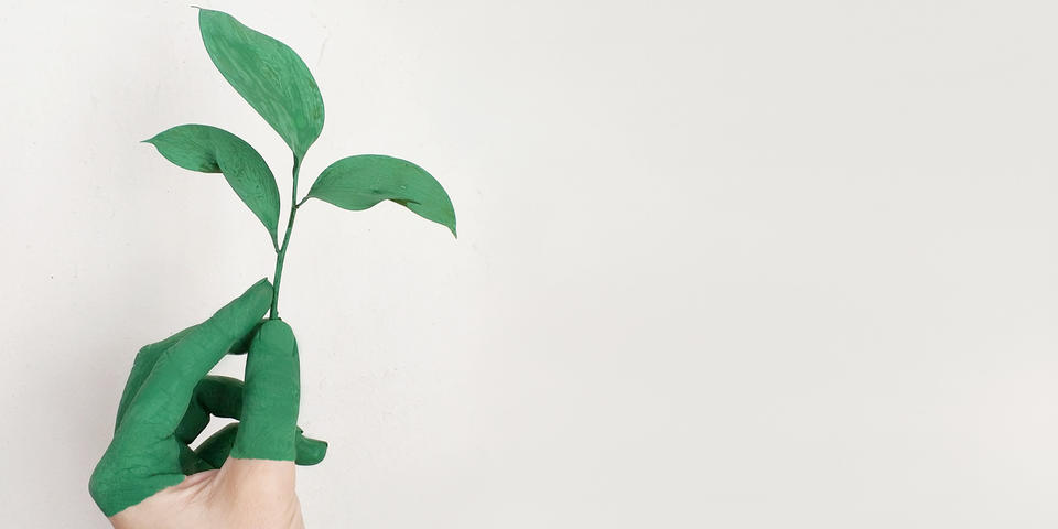 PME et urgence climatique&nbsp;: une prise de conscience mais des actions à renforcer