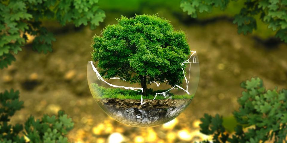 Semaine européenne du Développement durable&nbsp;: programme des émissions