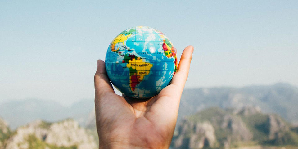 Les PME en action pour la biodiversité&nbsp;: notre guide pour les accompagner