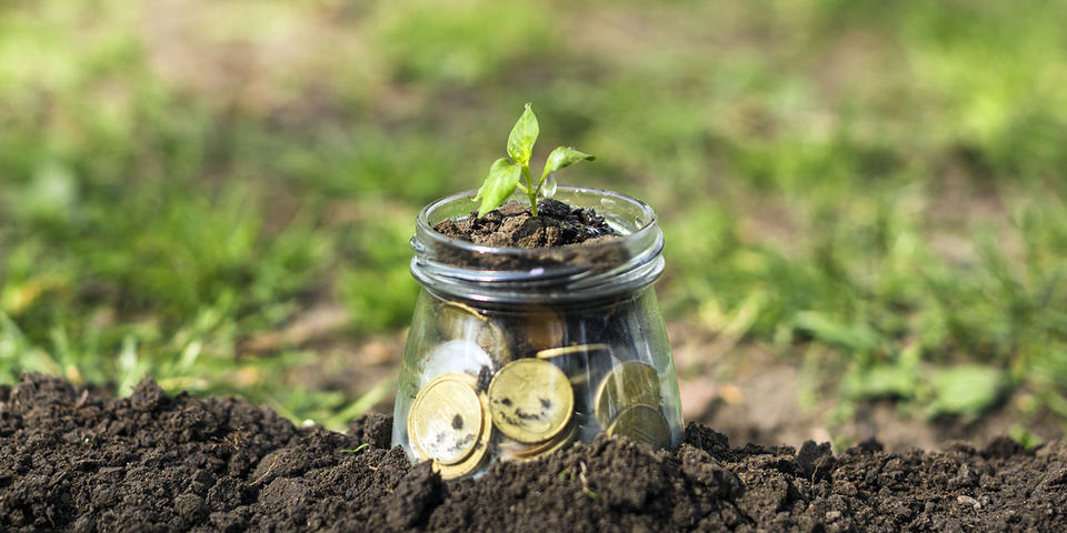 Plan de relance, recyclage, écoconception et développement durable&nbsp;: les dernières infos RSE