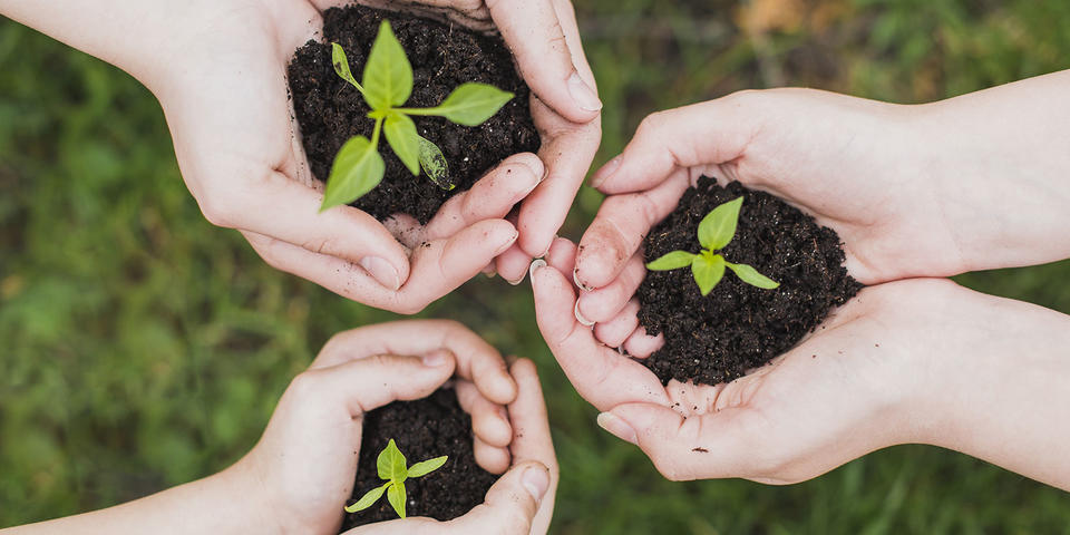 Green Deal&nbsp;: ajustement carbone et fonds social pour le climat