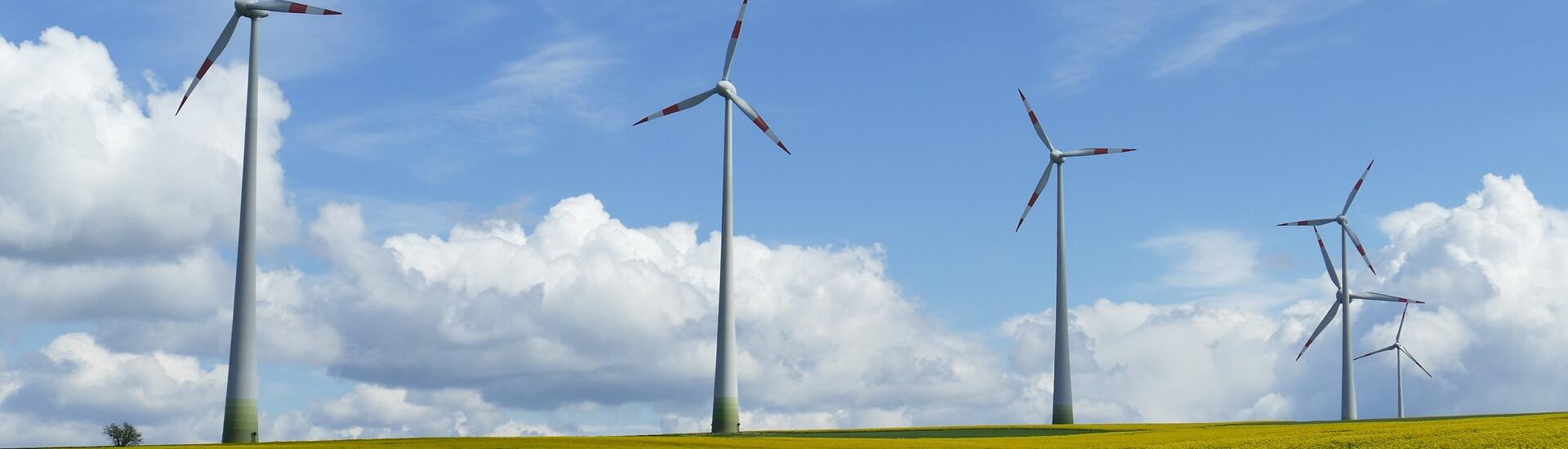CSRD, souveraineté énergétique&nbsp;: vos actualités