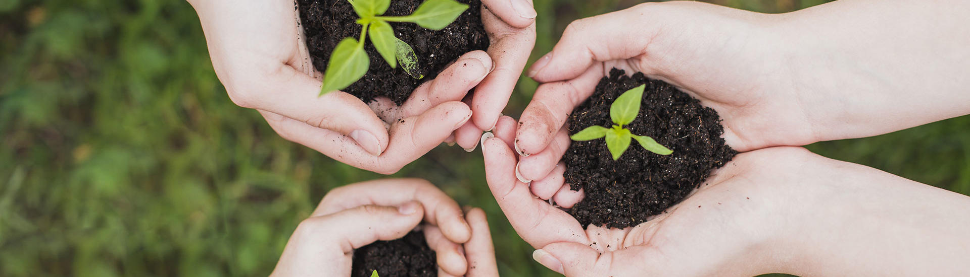 PME, tout savoir sur le mécénat