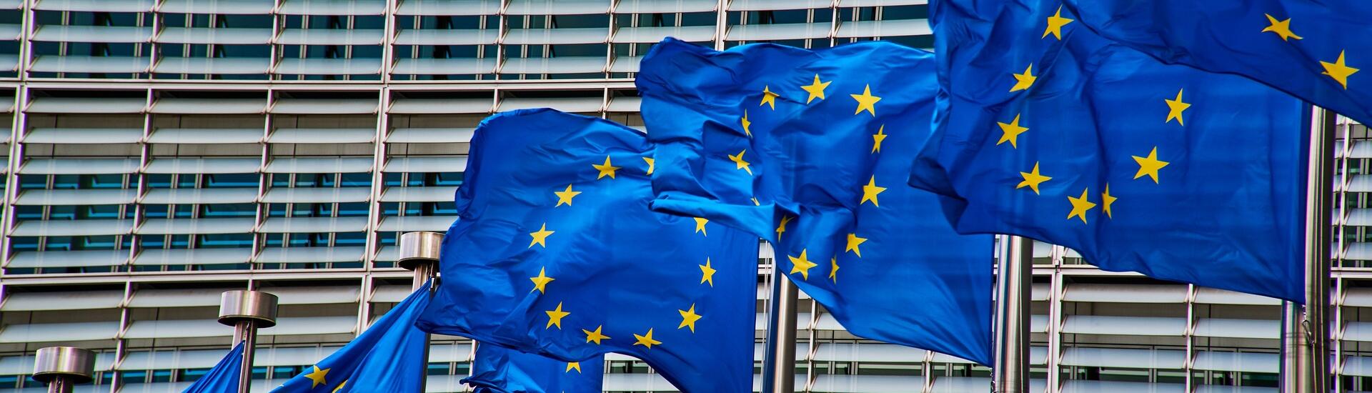 Directive «&nbsp;devoir de vigilance&nbsp;»&nbsp;: quels changements pour les entrepreneurs&nbsp;?