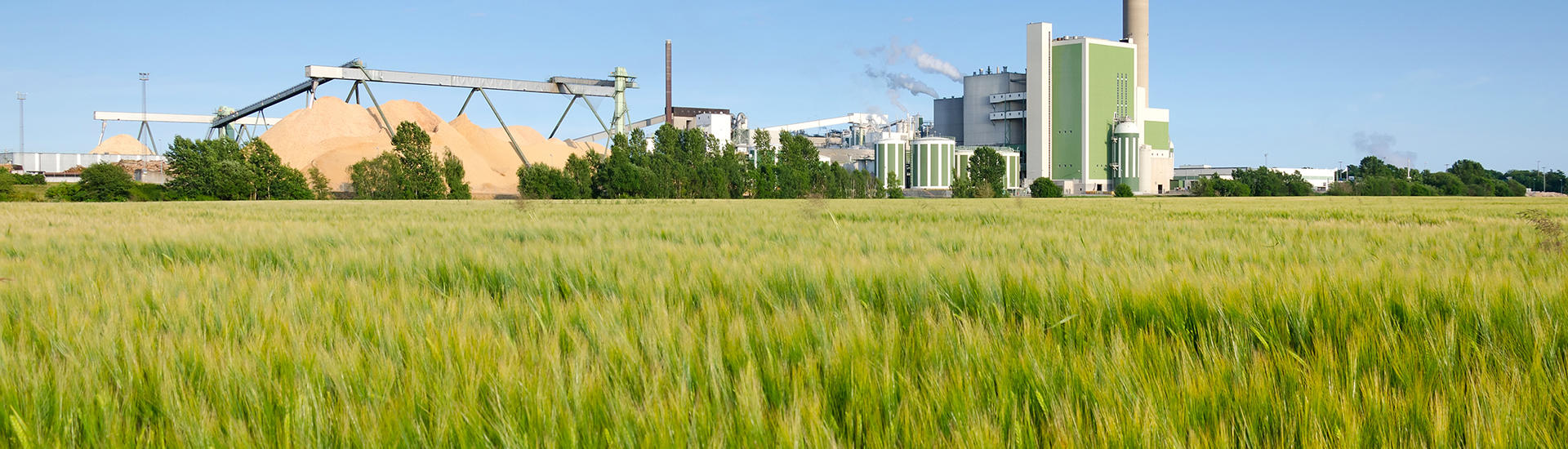 Plan d’épargne climat, consultation, aides énergies&nbsp;: vos actualités économiques