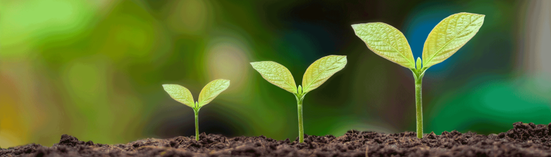 Appel à projet FASEP : valorisez vos solutions innovantes pour faire face aux défis climatiques