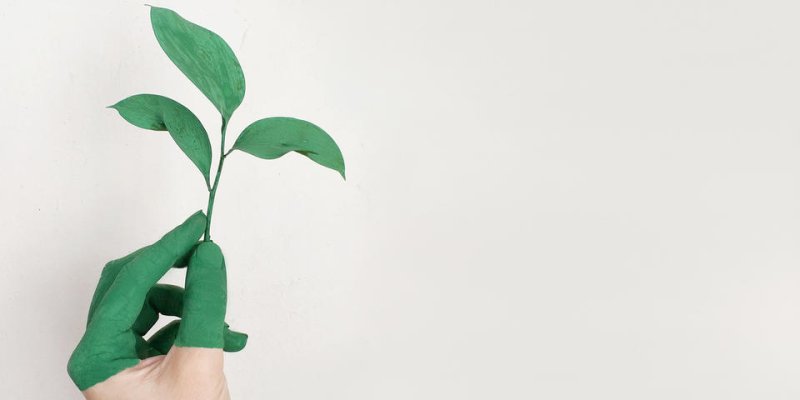 PME et urgence climatique : une prise de conscience mais des actions à renforcer